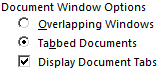 Document Window Options.