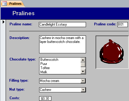 Form View of form Pralines. The data of the first record is displayed.